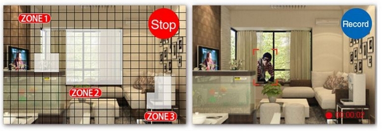 zonski alarm DVR