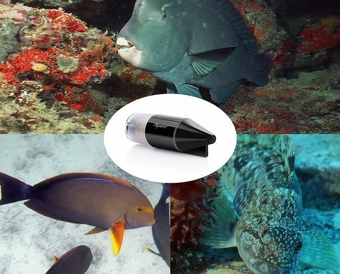 podvodna kamera za ribare